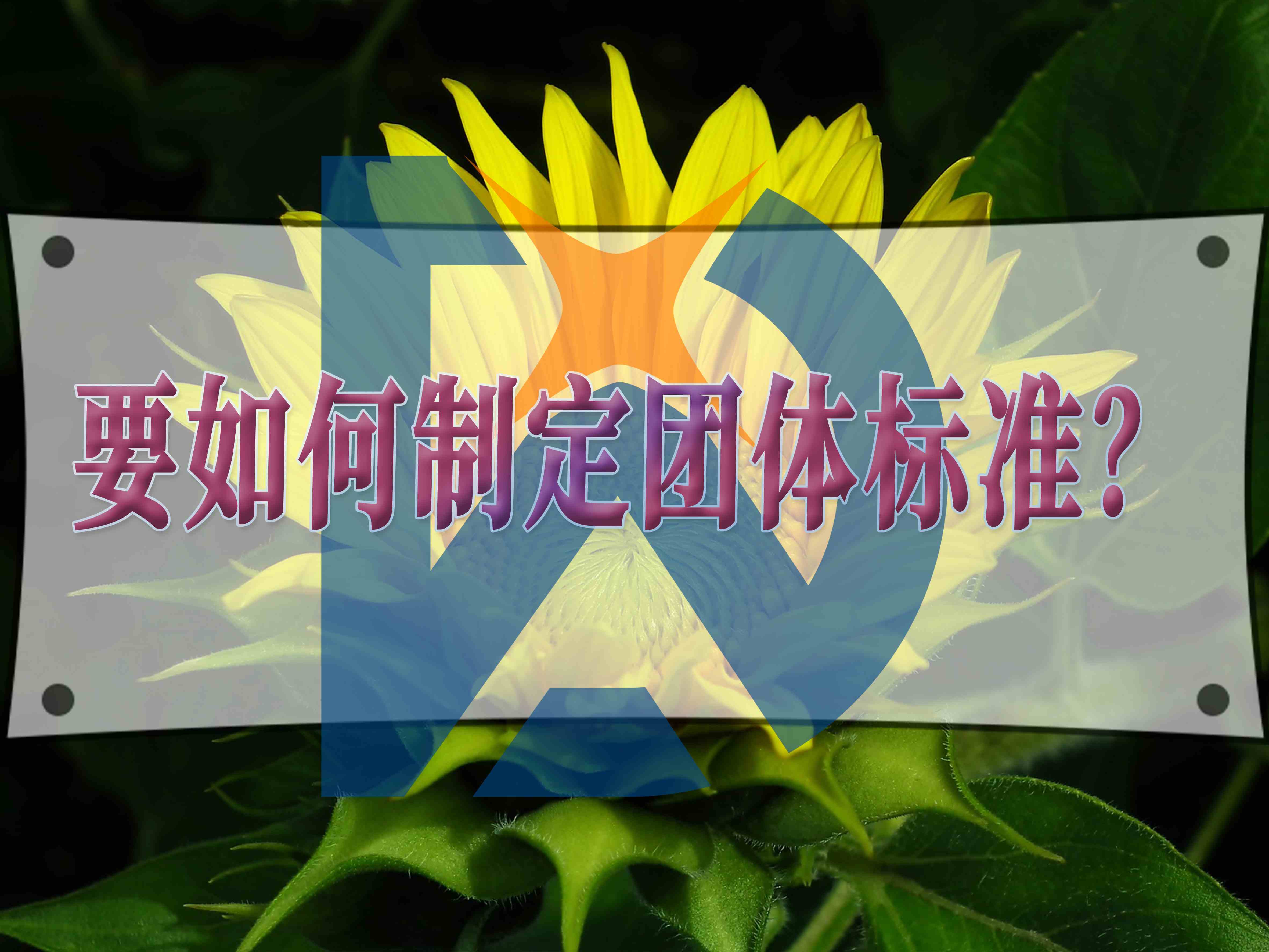 要如何制定團體標準？