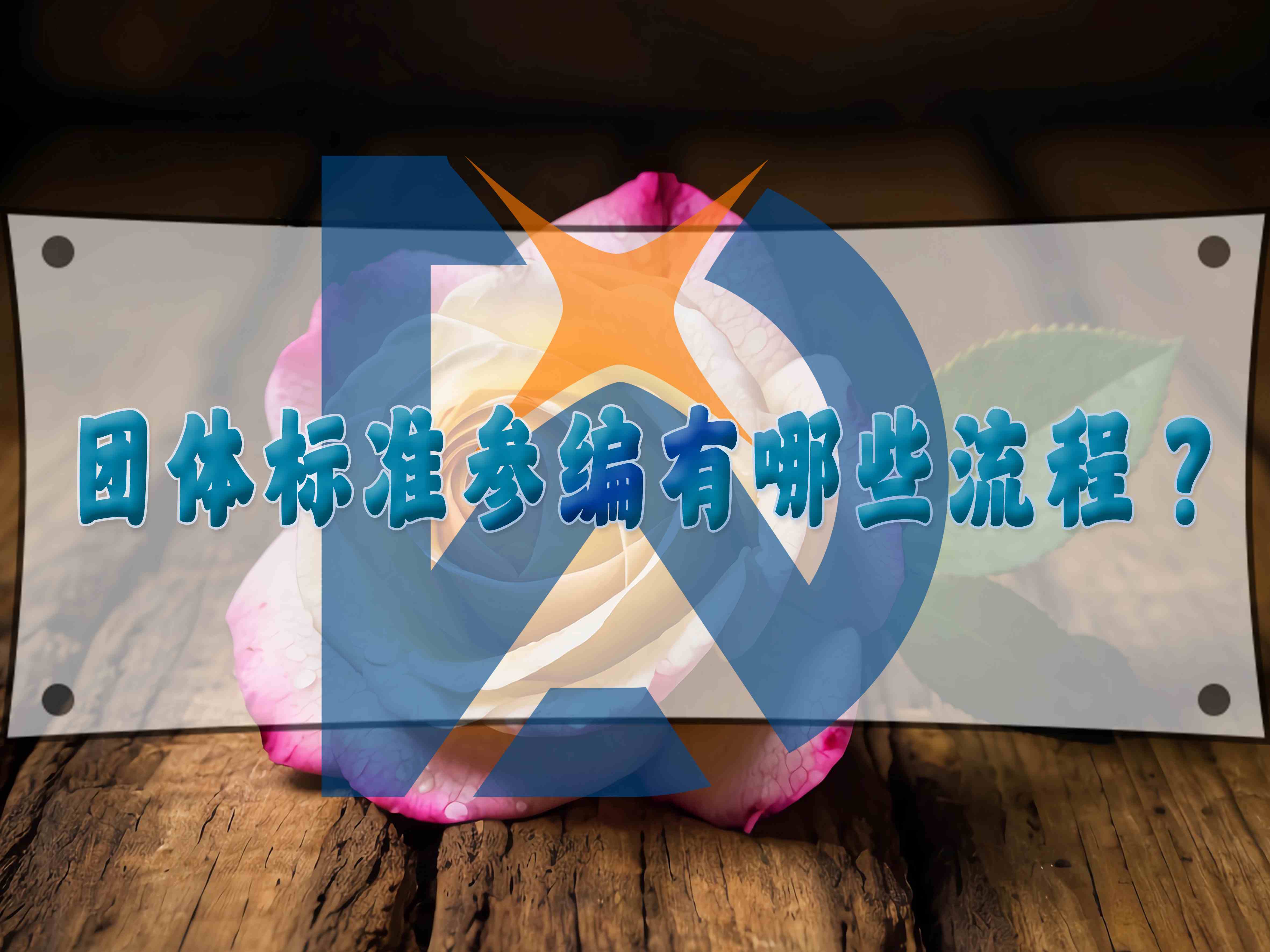 團體標準參編有哪些流程？