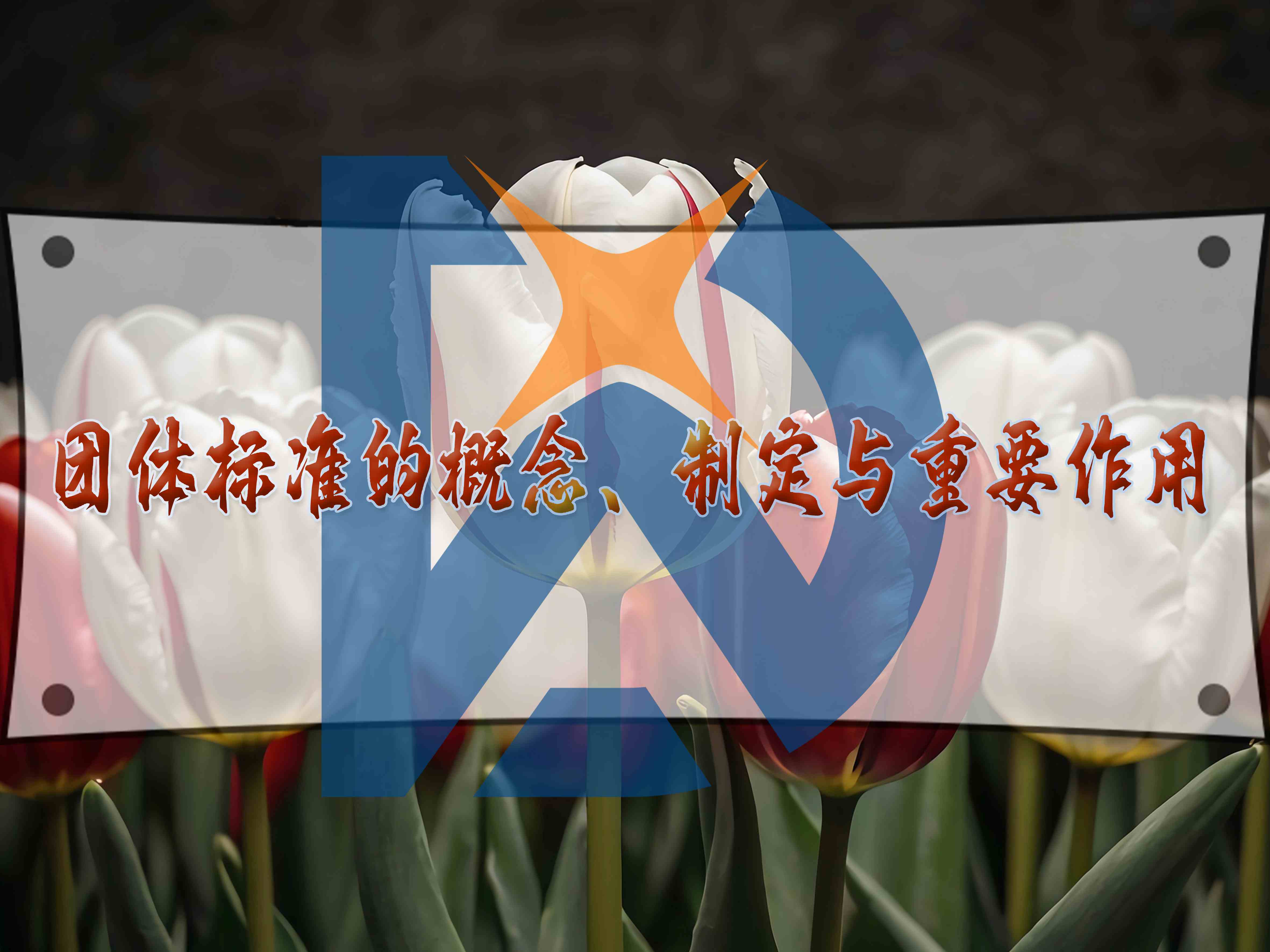 團體標準的概念、制定與重要作用