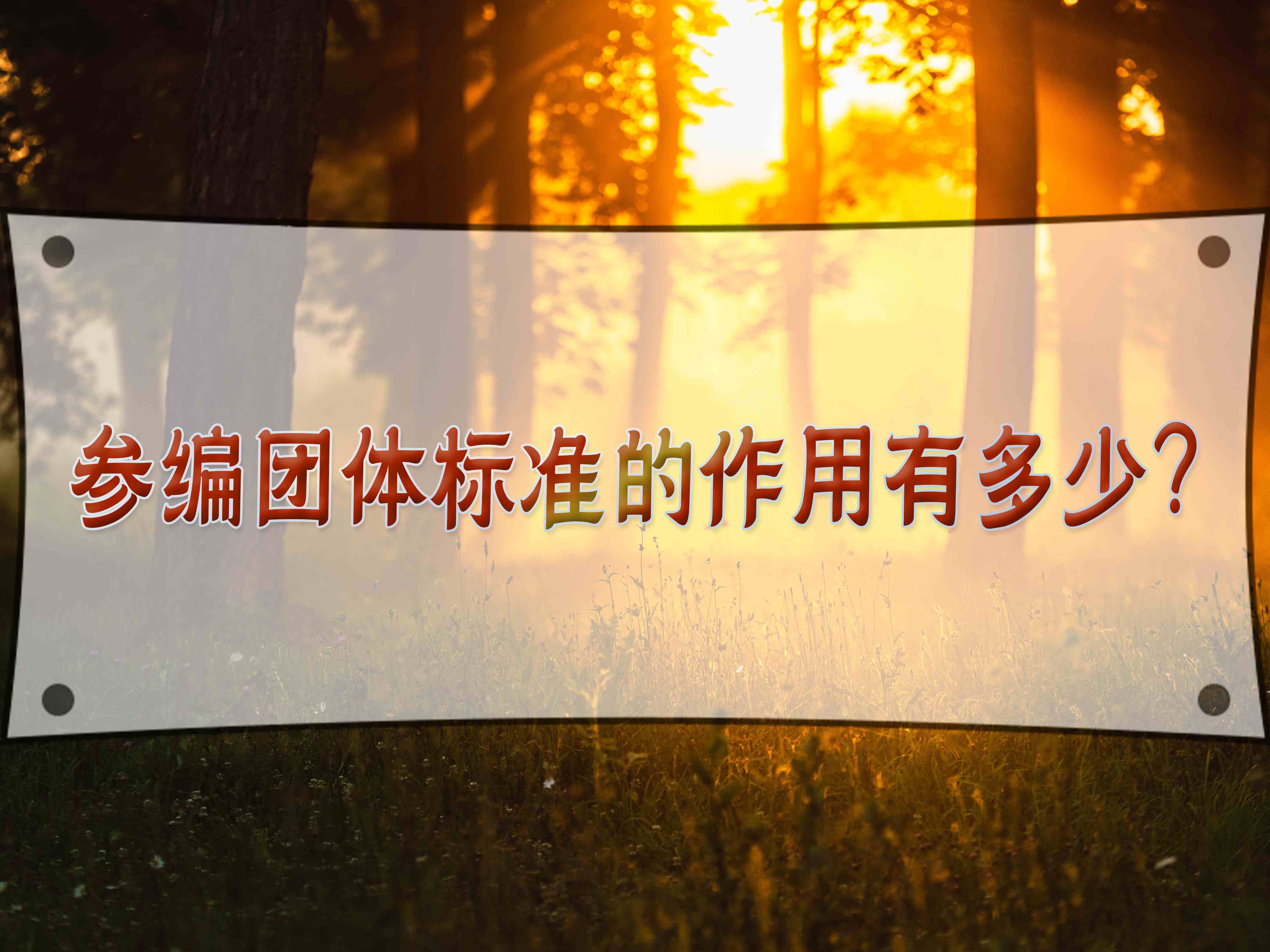 參編團(tuán)體標(biāo)準(zhǔn)的作用有多少？